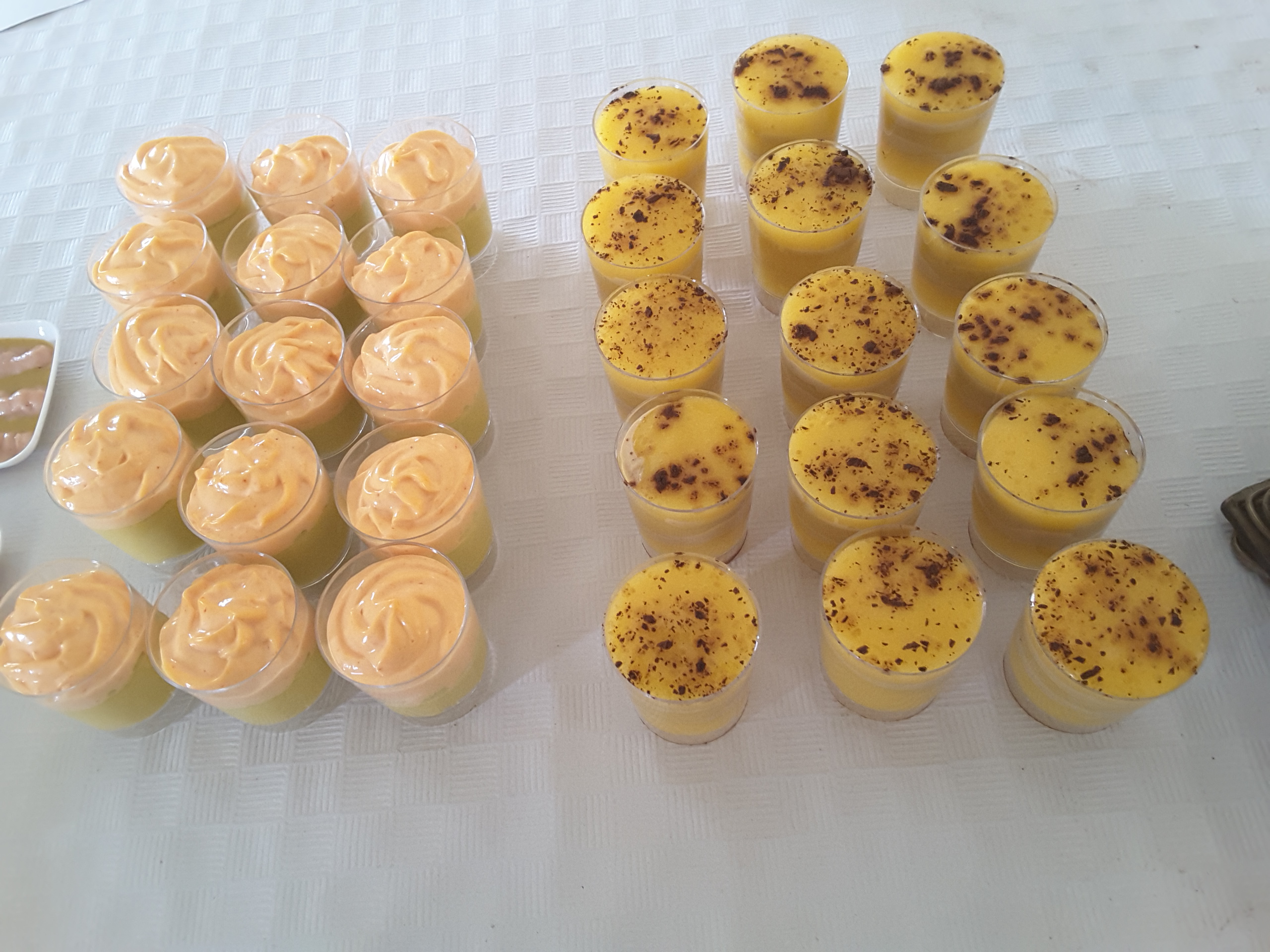 CATA PLATOS TEXTURIZADOS abril 2017 011