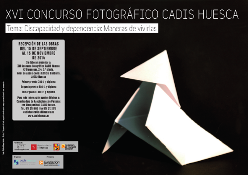 Cartel Concurso fotografico CADIS 2014