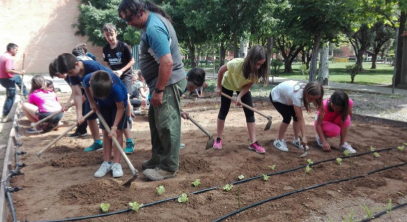 Huertos escolares