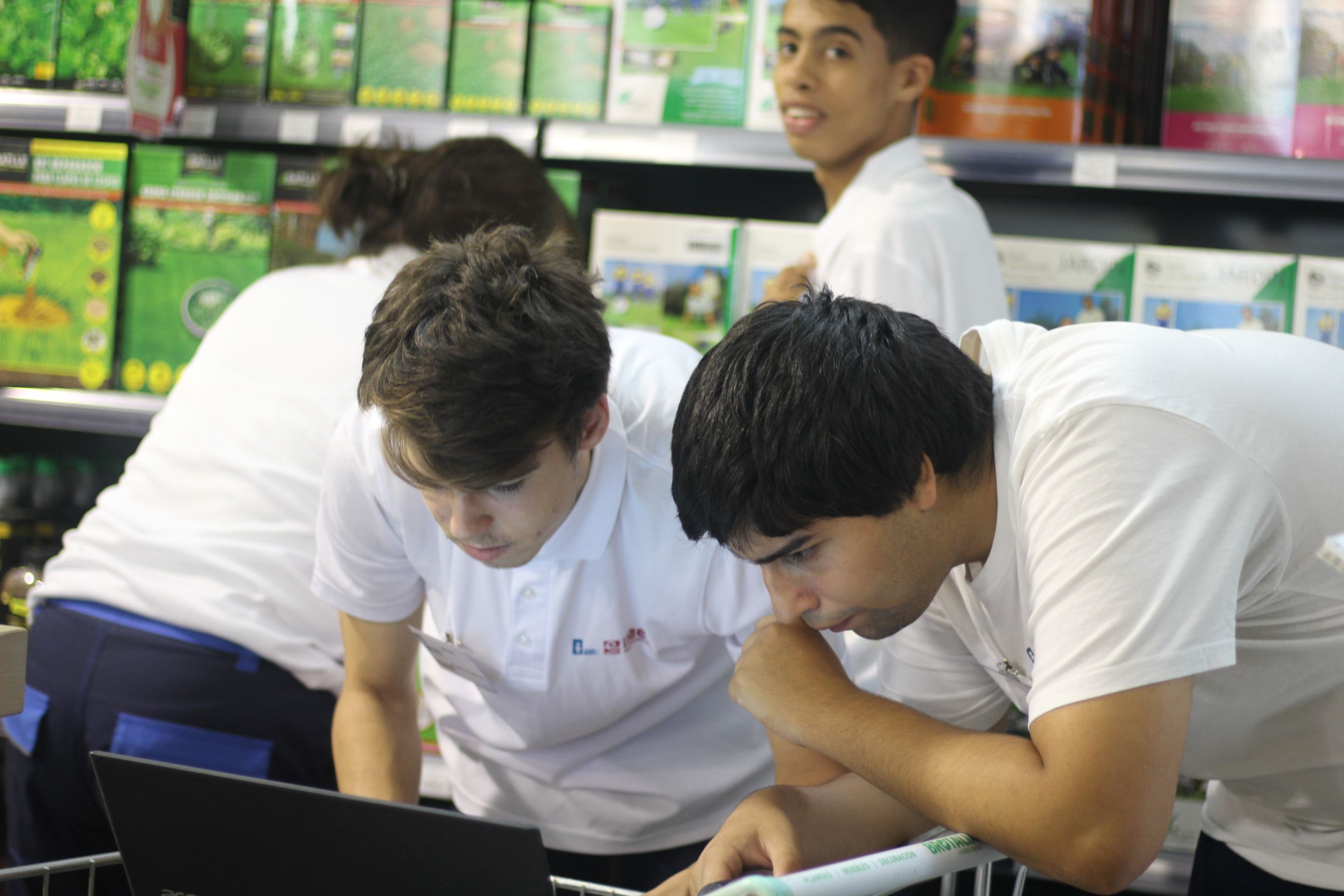 Valentia prepara un nuevo programa denominado Servicio IMPULSA para mejorar la empleabilidad de las personas con discapacidad intelectual 