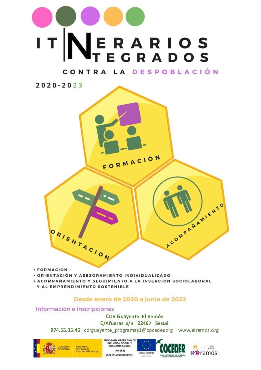 Cartel proyecto POISES