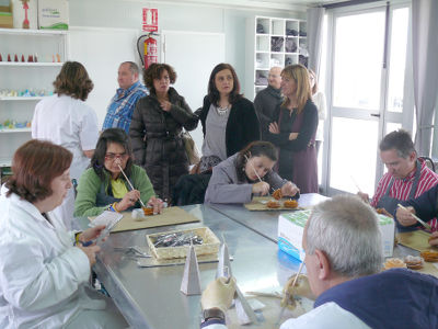 Visita Taller Andemos