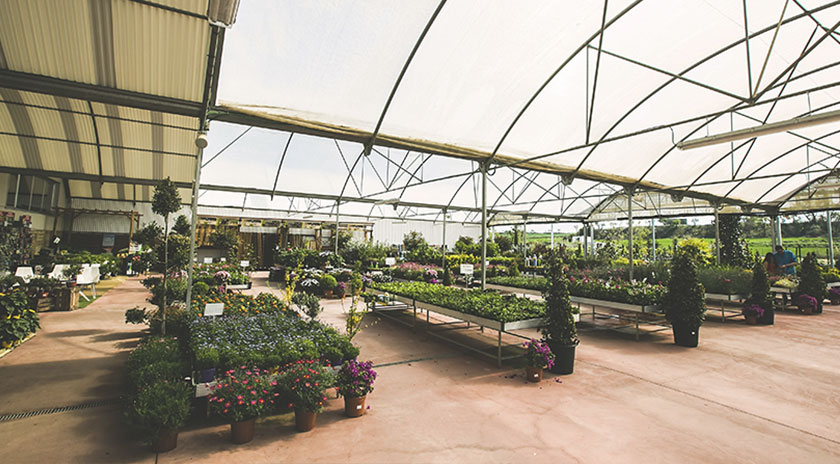 Imagen de las instalaciones de Brotalia 