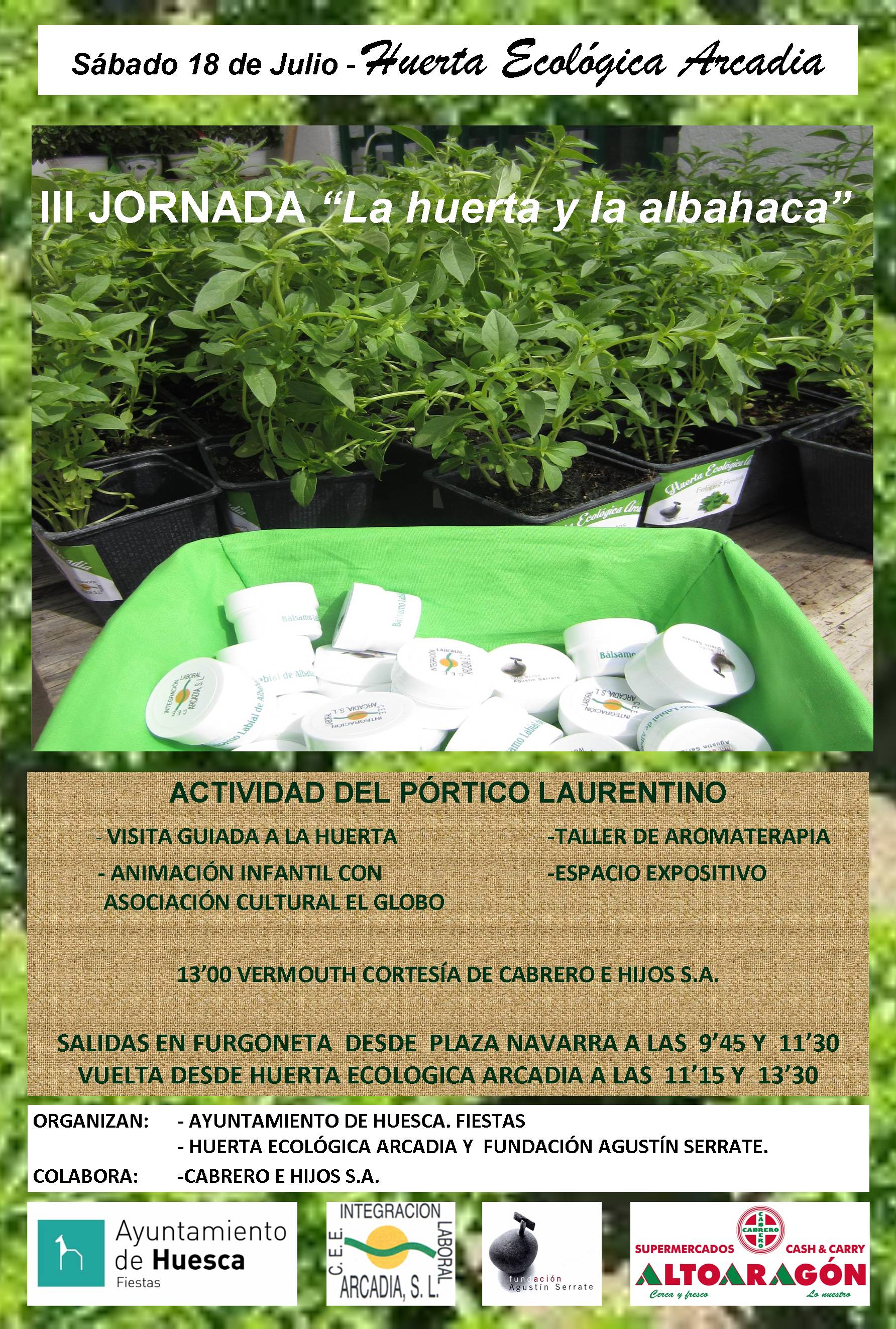 PORTICO LAURENTINO albahaca 1