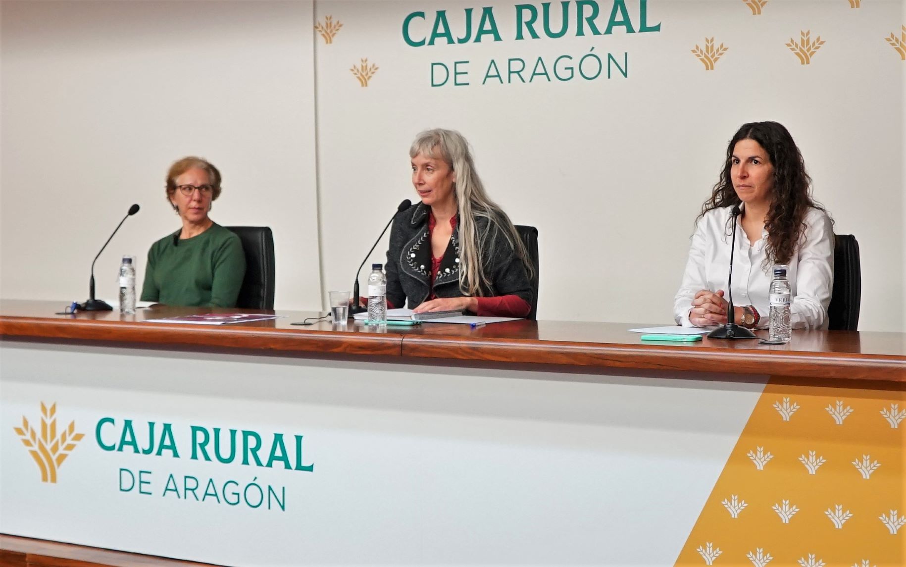 Rosa Segovia (Valentia), Marta Peña, gerente de CADIS y Sara Comenge vicepresidenta de la Coordinadora presentando los actos en la rueda de prensa